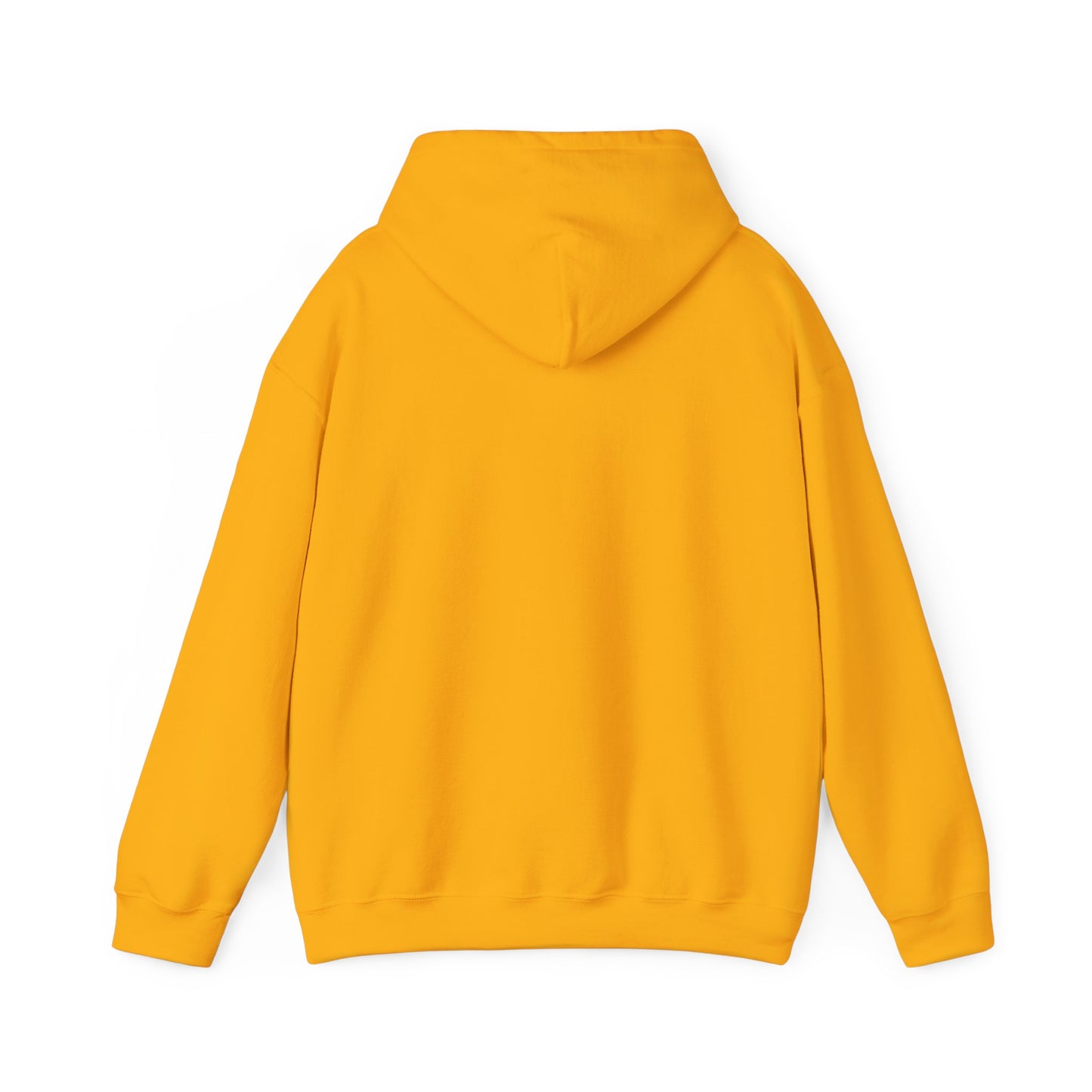 RPM Unisex Heavy Blend™ Hooded Sweatshirt 1