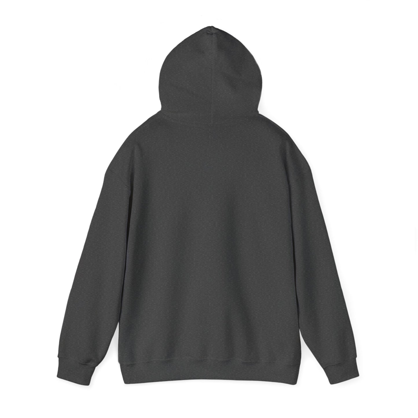 RPM Unisex Heavy Blend™ Hooded Sweatshirt 1