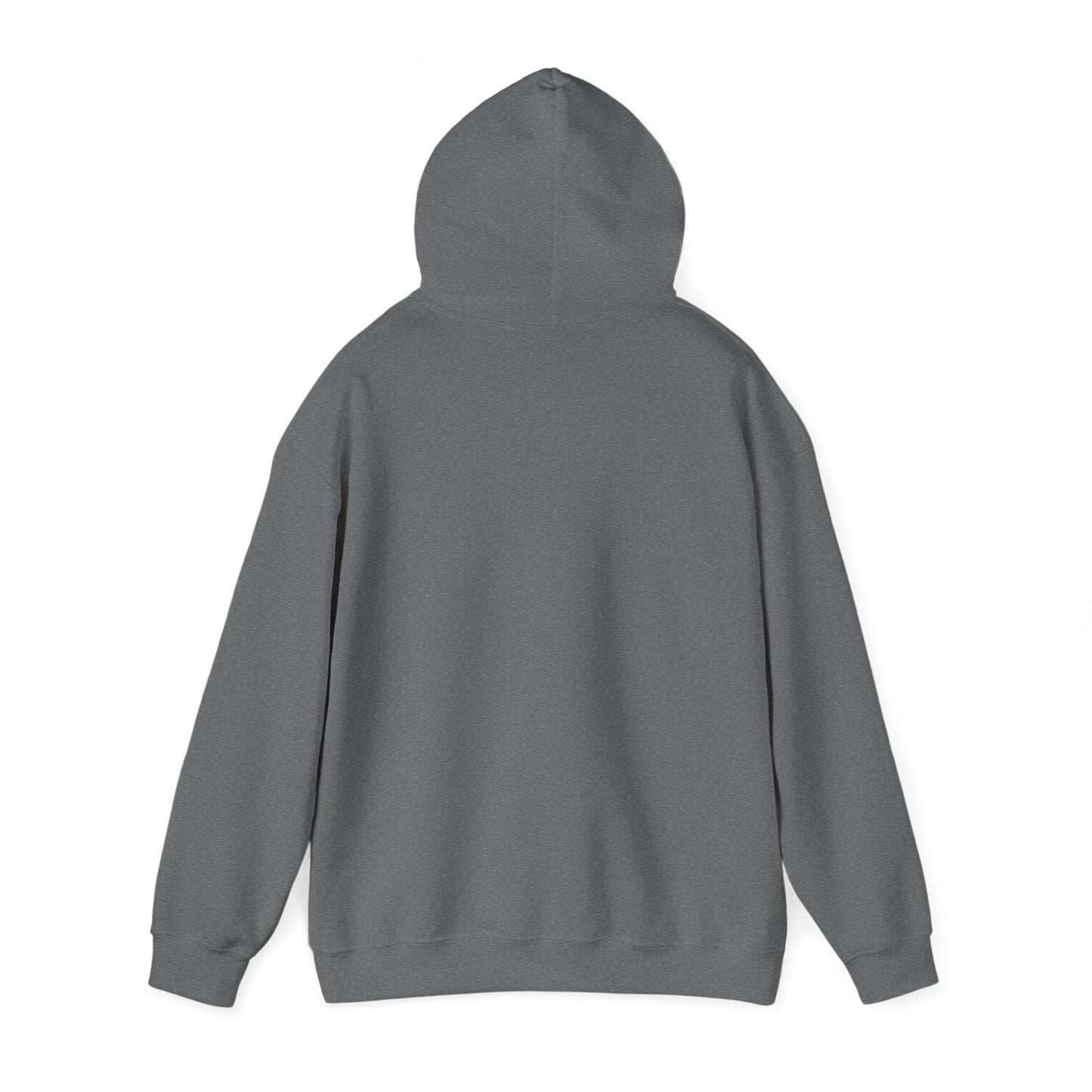 RPM Unisex Heavy Blend™ Hooded Sweatshirt 1