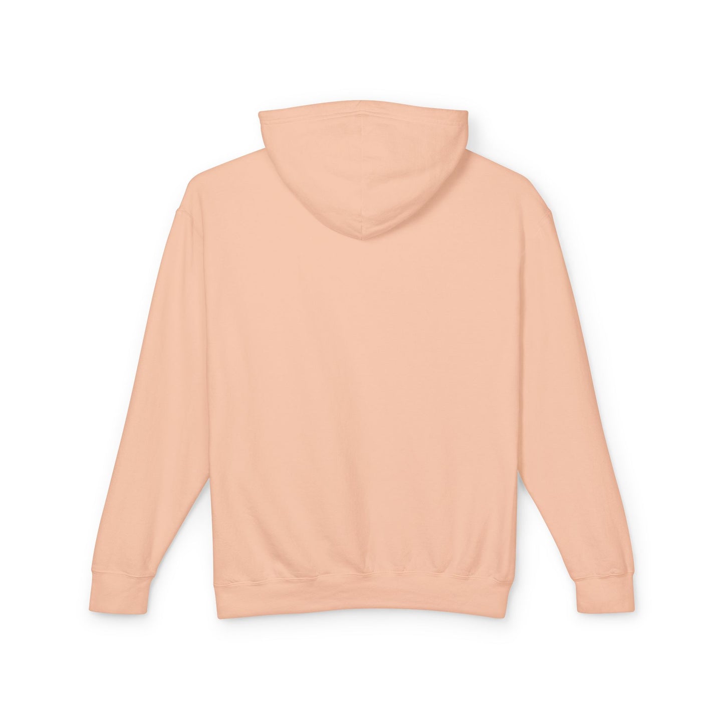 RPM Unisex Comfort Colors Lightweight Hoodie 1