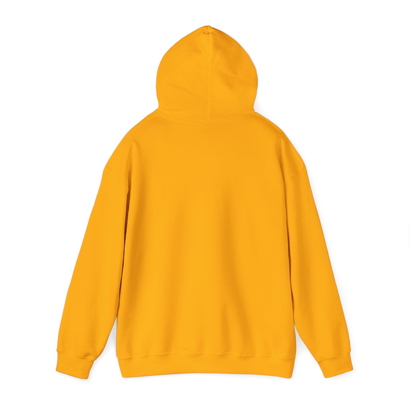 RPM Unisex Heavy Blend™ Hooded Sweatshirt 1