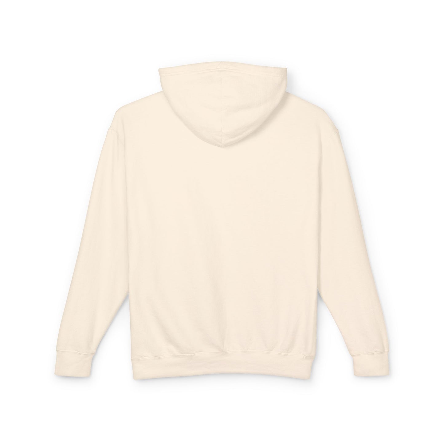 RPM Unisex Comfort Colors Lightweight Hoodie 1